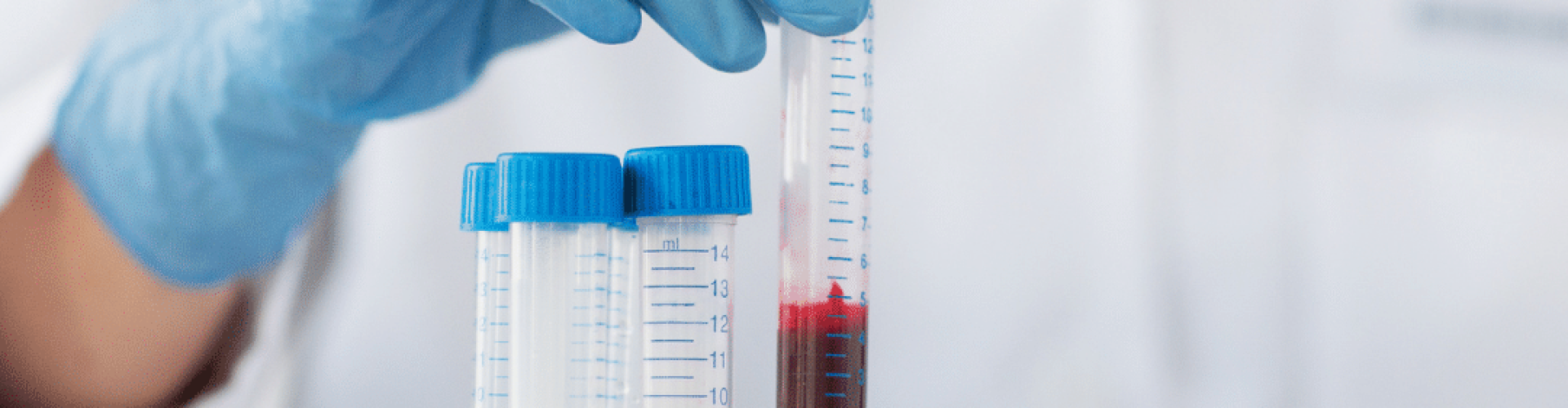 untitled_design_25_0